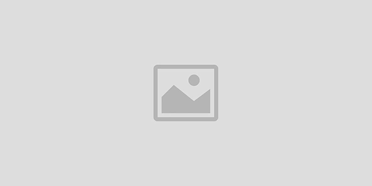 INFINETO MATRIMONIAL SERVICES